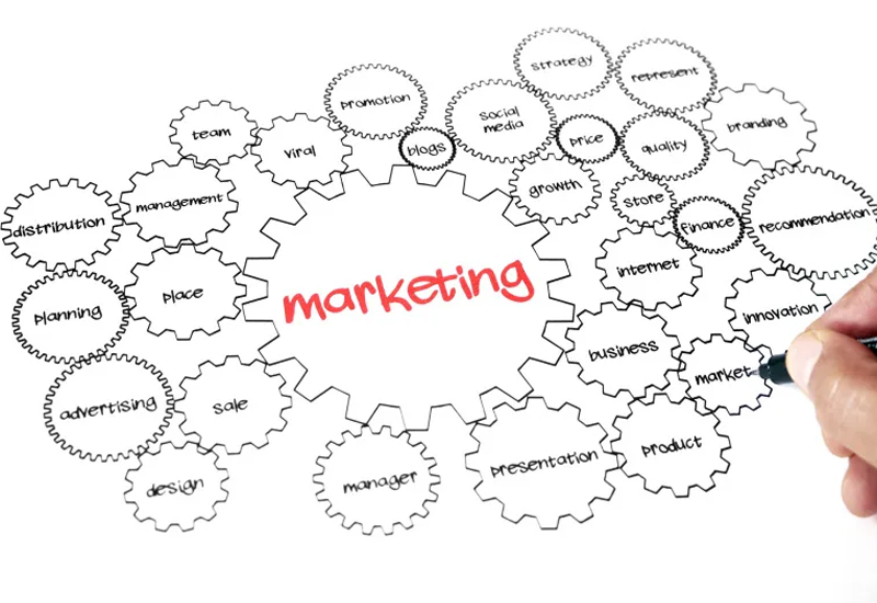 Store Operations Management